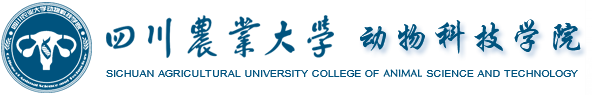 best365官方网站登录入口